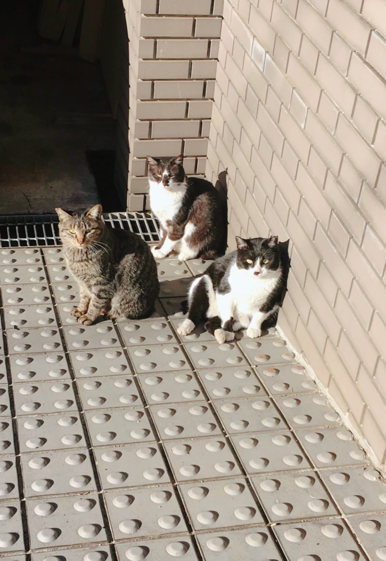 まちで生きる