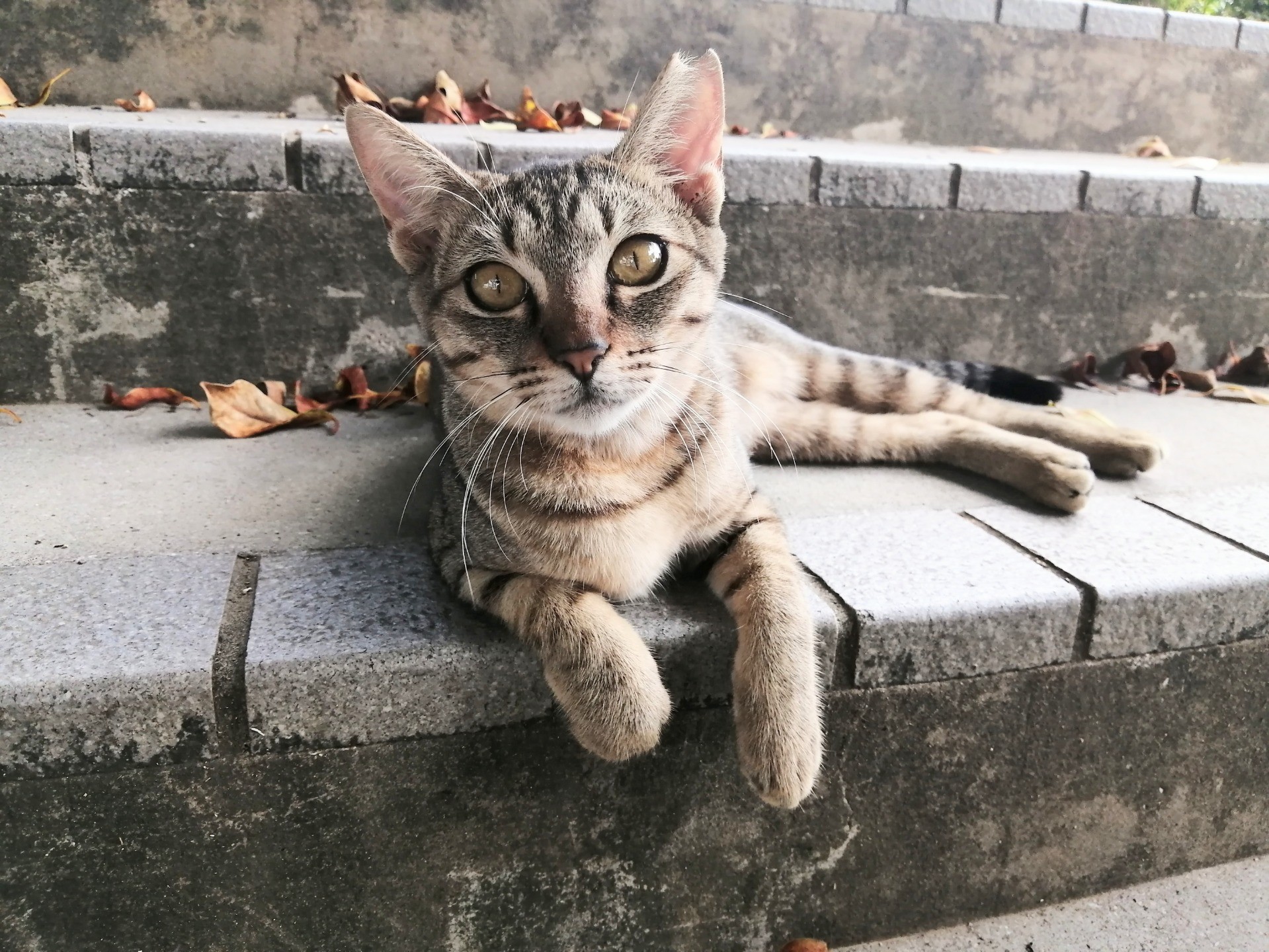 大好き