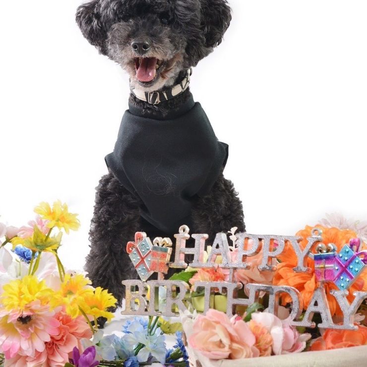 生まれて初めてのお誕生日🎂