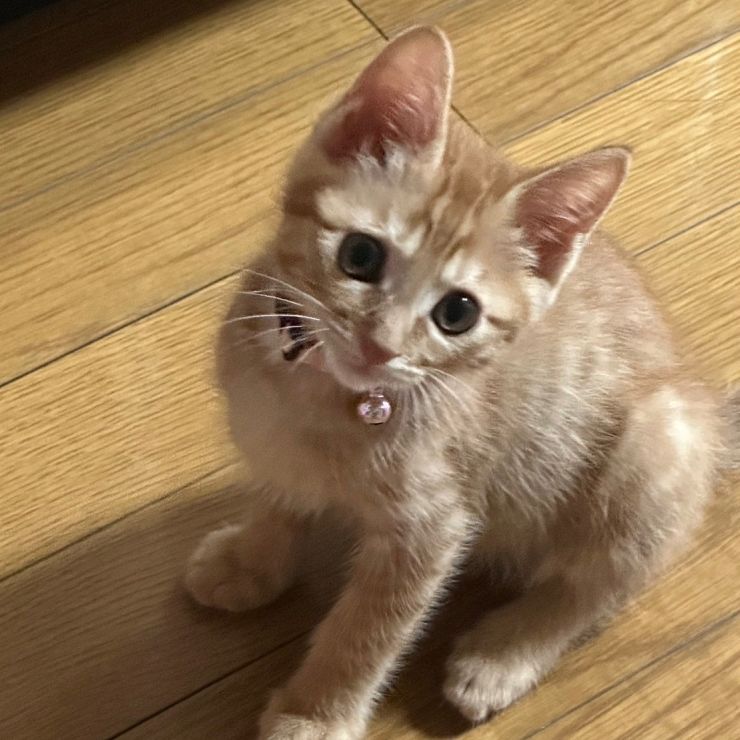 もう少しで……