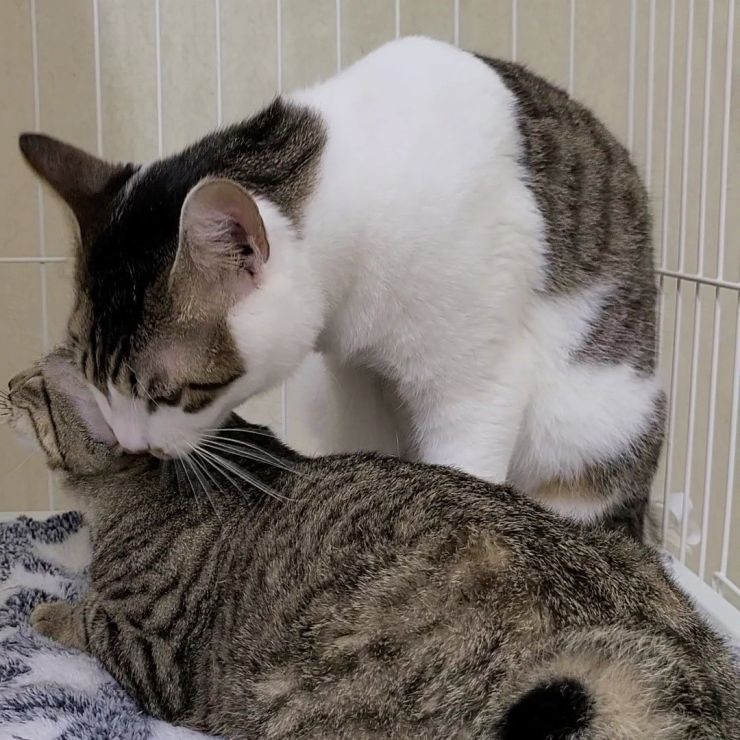 生まれた場所は違うけど