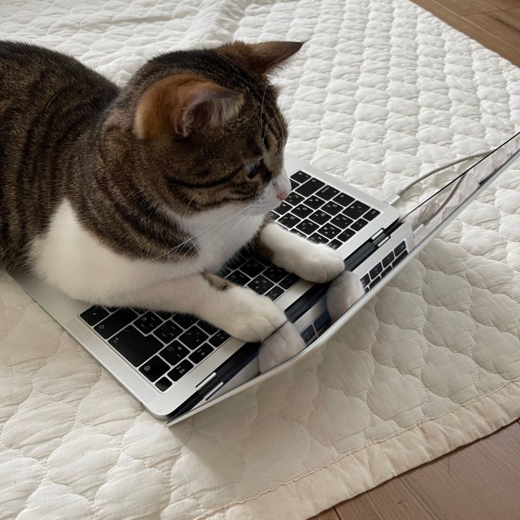 お仕事中