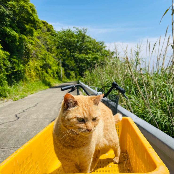 自転車でお出かけ