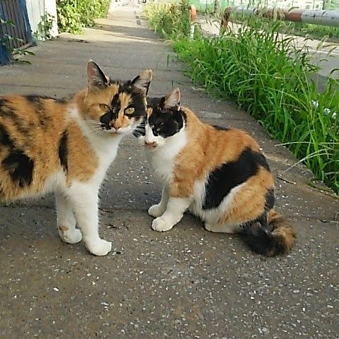 母娘のひととき
