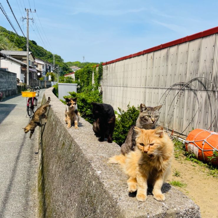 ご飯の時間