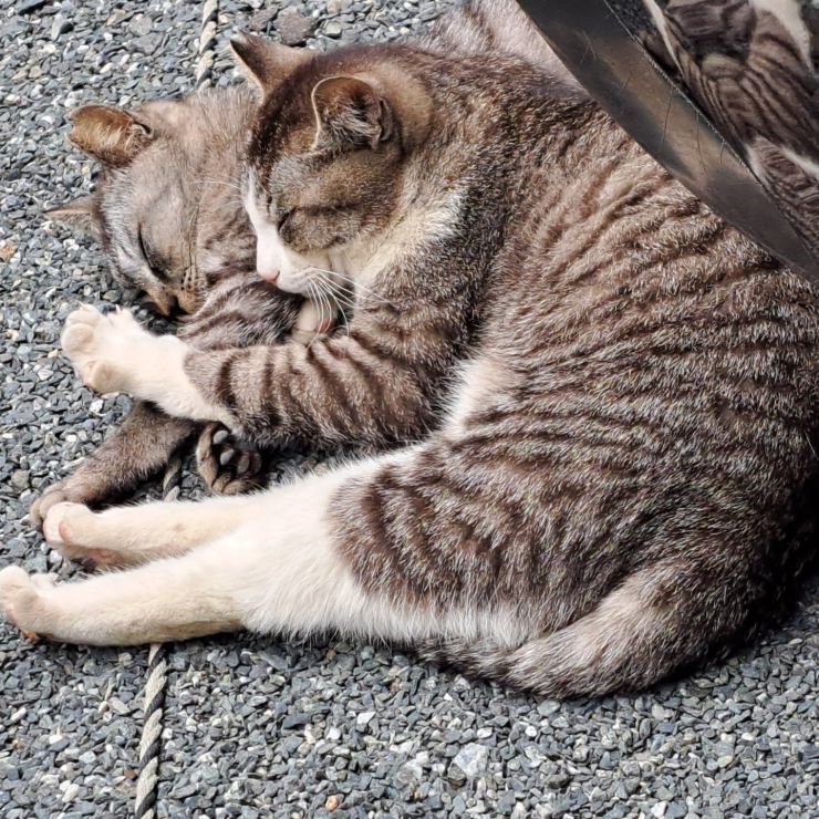 親子で