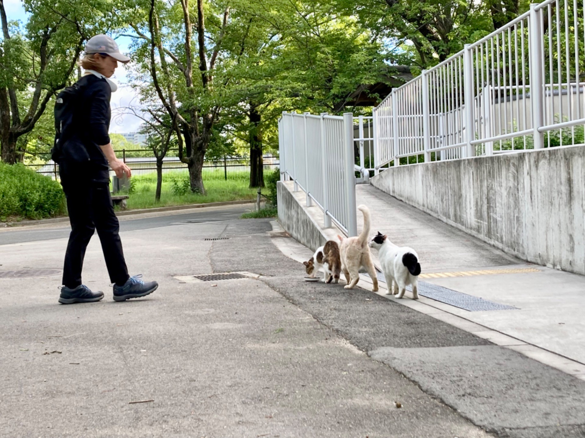 ぼくたちの朝