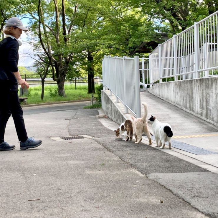 ぼくたちの朝
