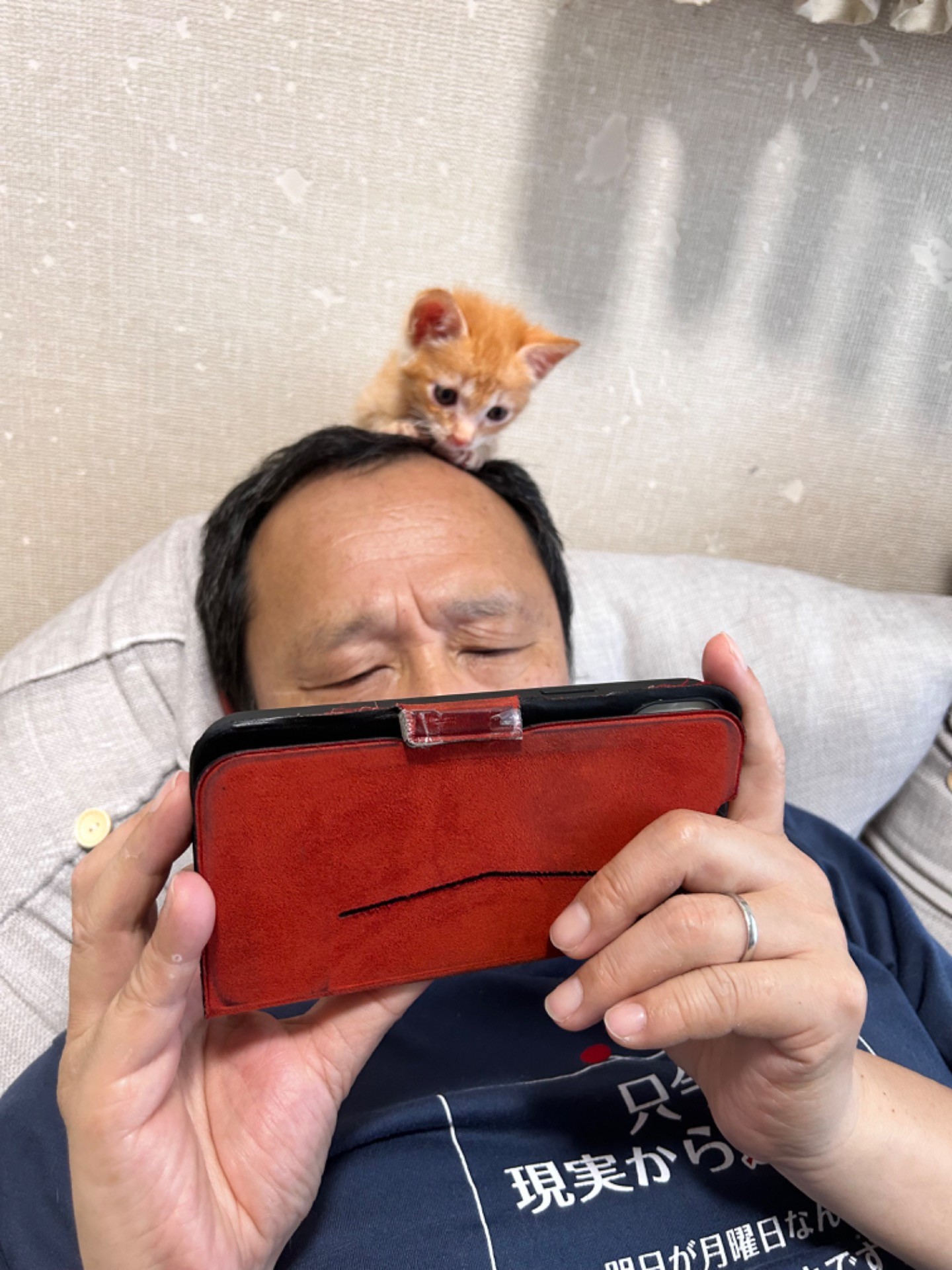 仮のお父さんとスマホ鑑賞