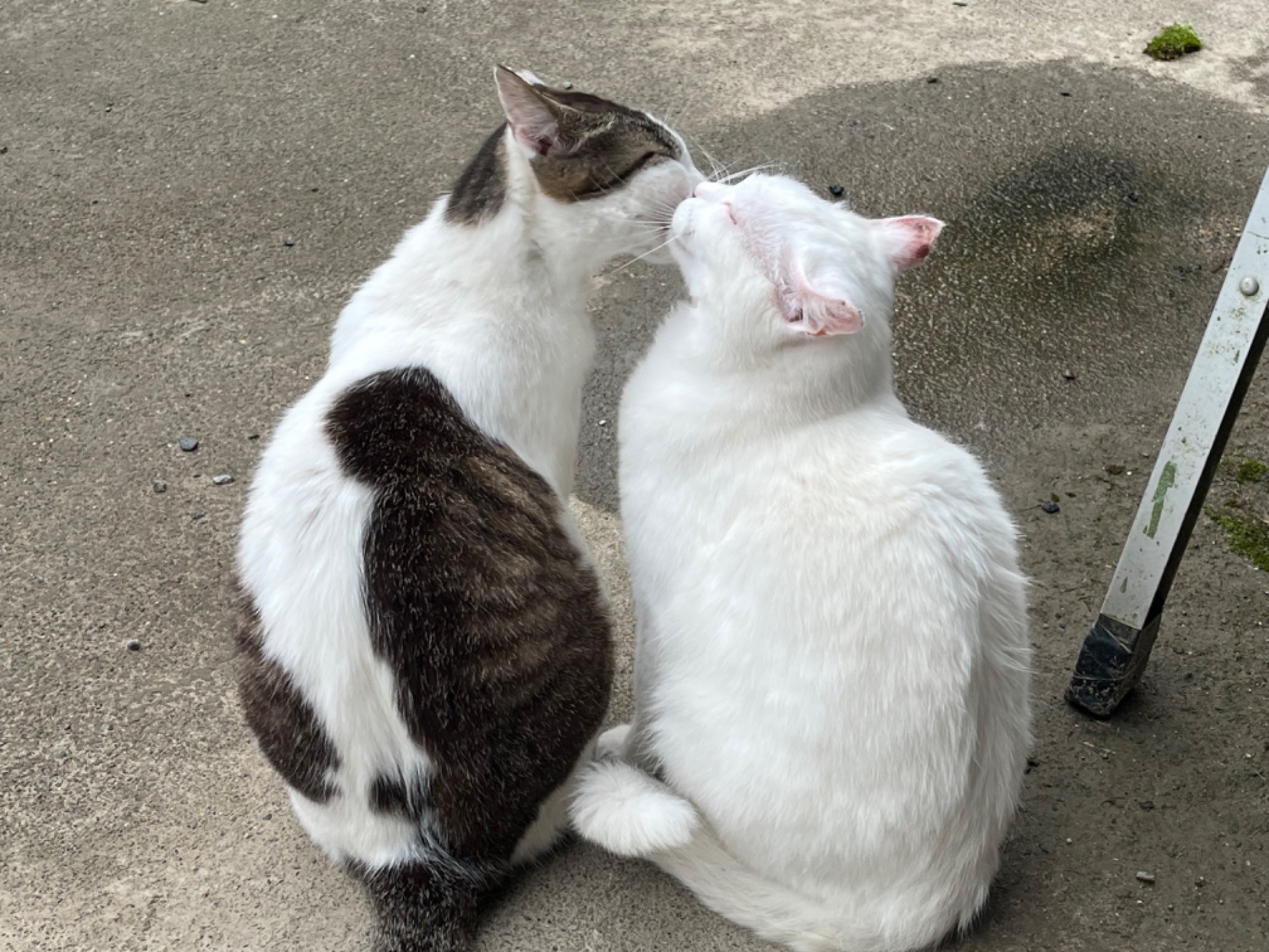 親子愛