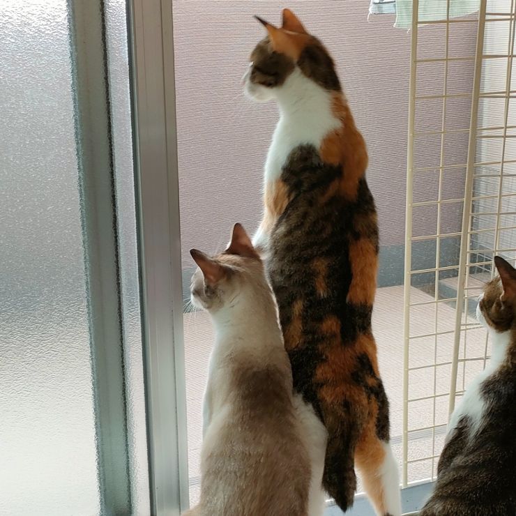 何かいるぞ!