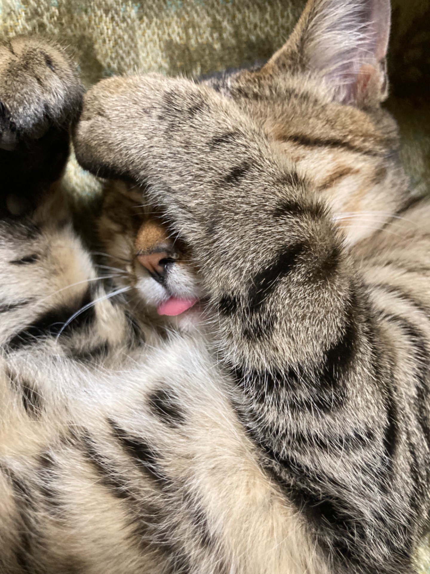 べぇw