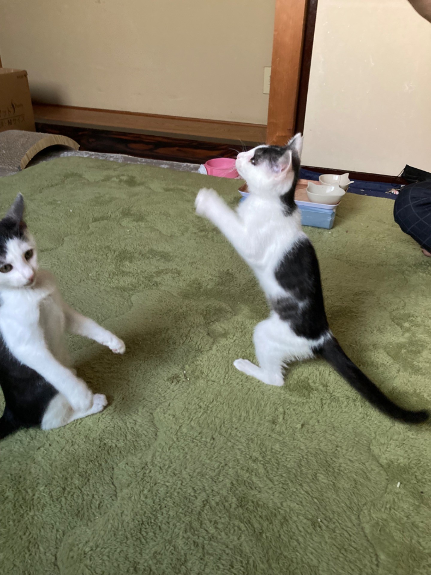 命つないだ