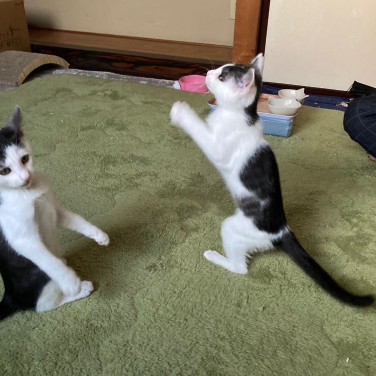 命つないだ