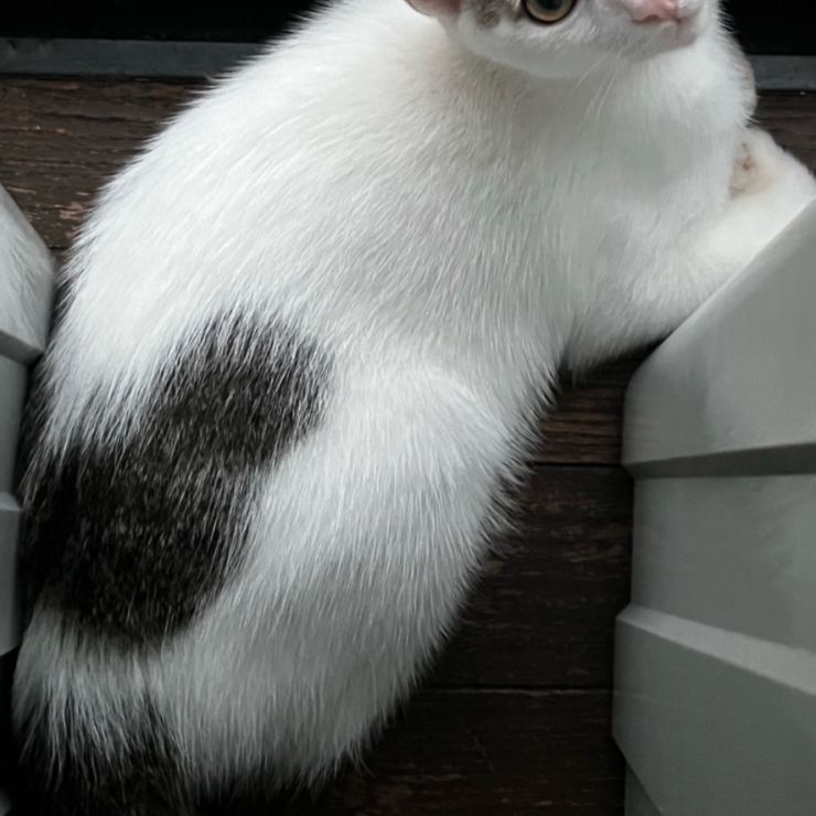 僕のおうち