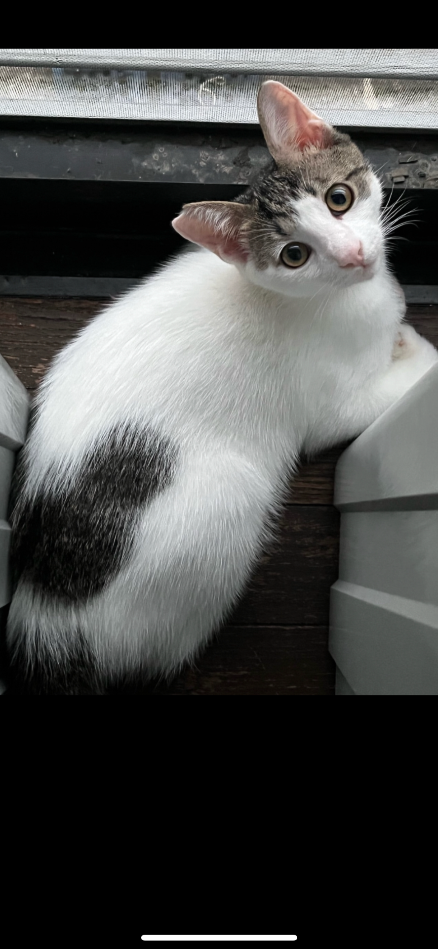 僕のおうち