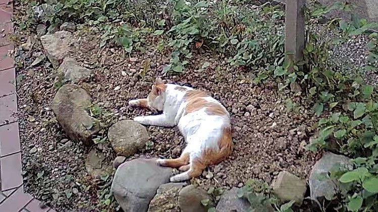 ここが涼しい(・・)?？