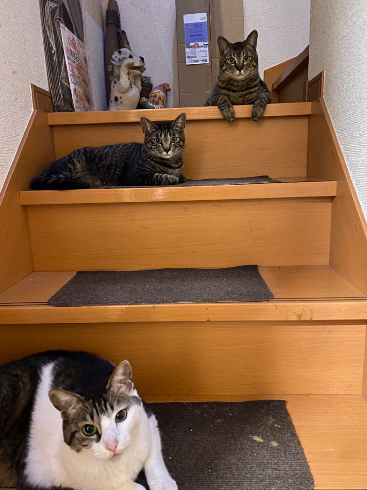 ママじゃないんだけど。