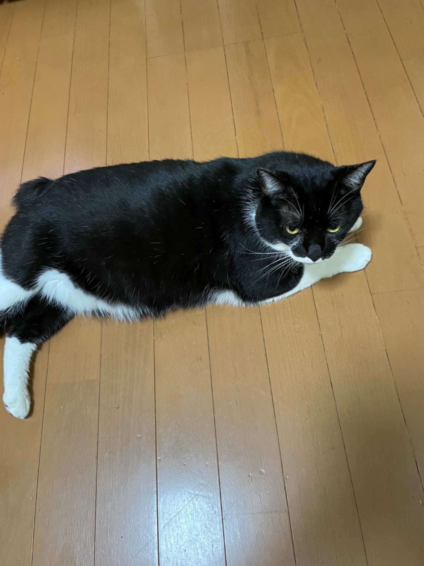 殿さま
