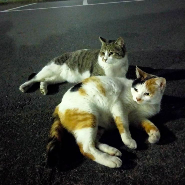 仲良し❤︎