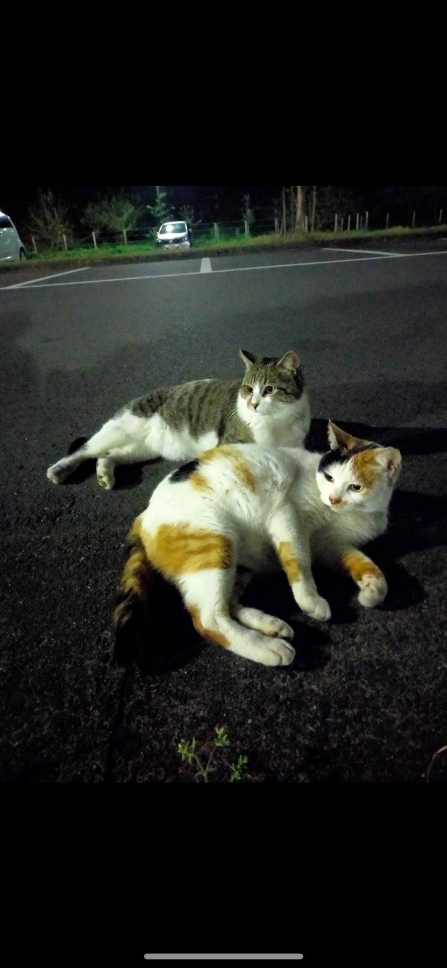 仲良し❤︎