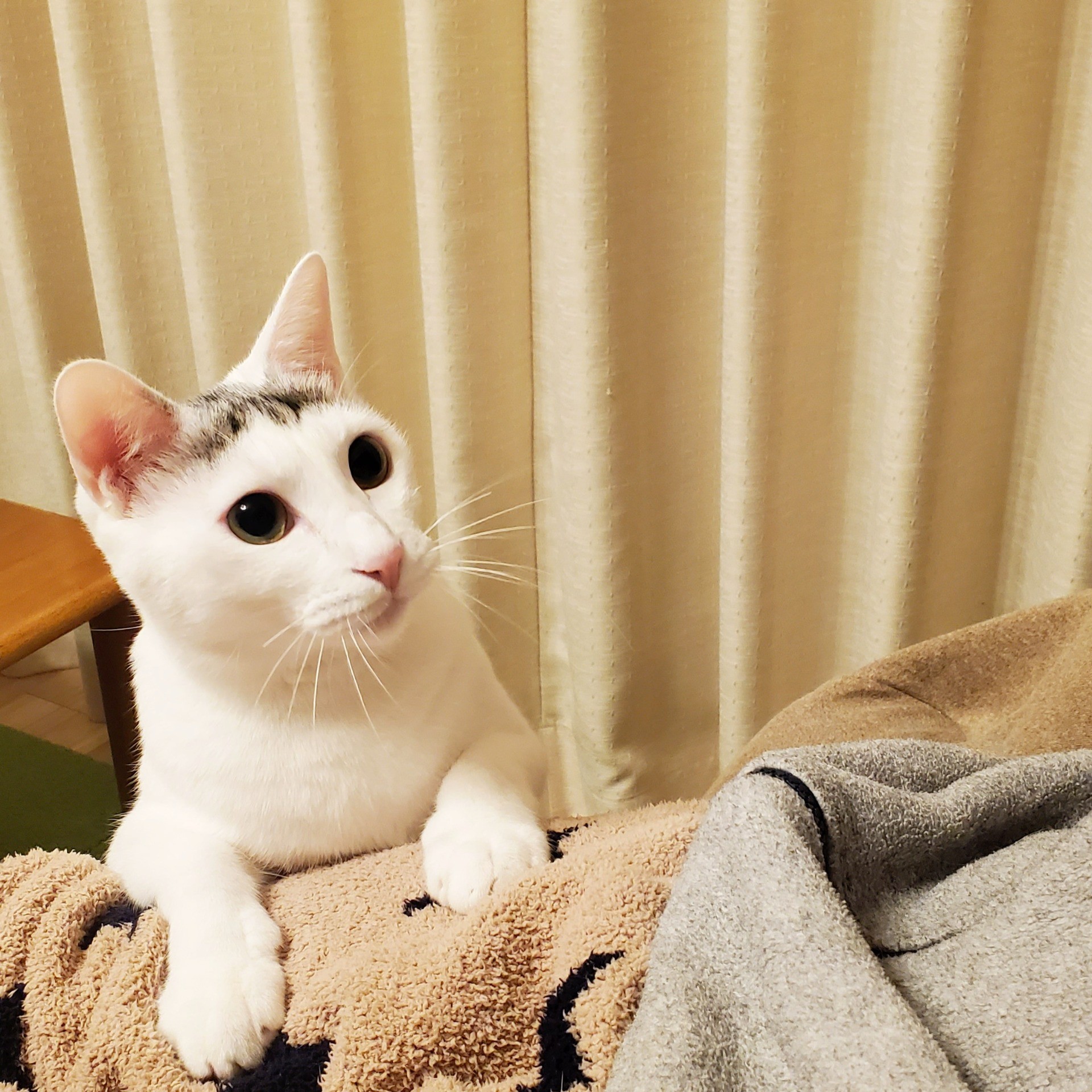 ねぇねぇ遊ぼ？