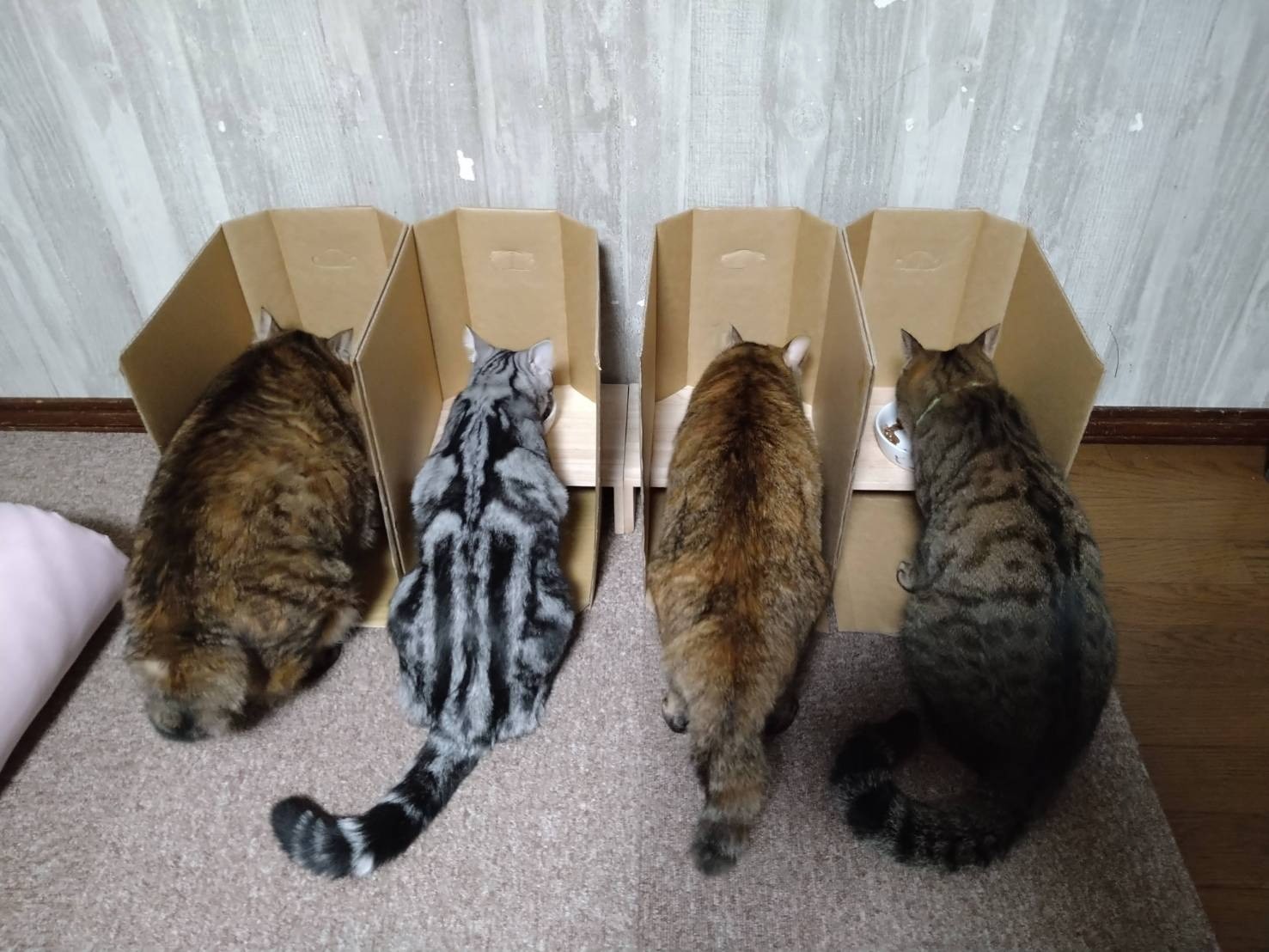 パーテーションもそろそろ外しますかね