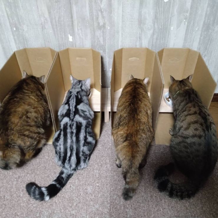 パーテーションもそろそろ外しますかね