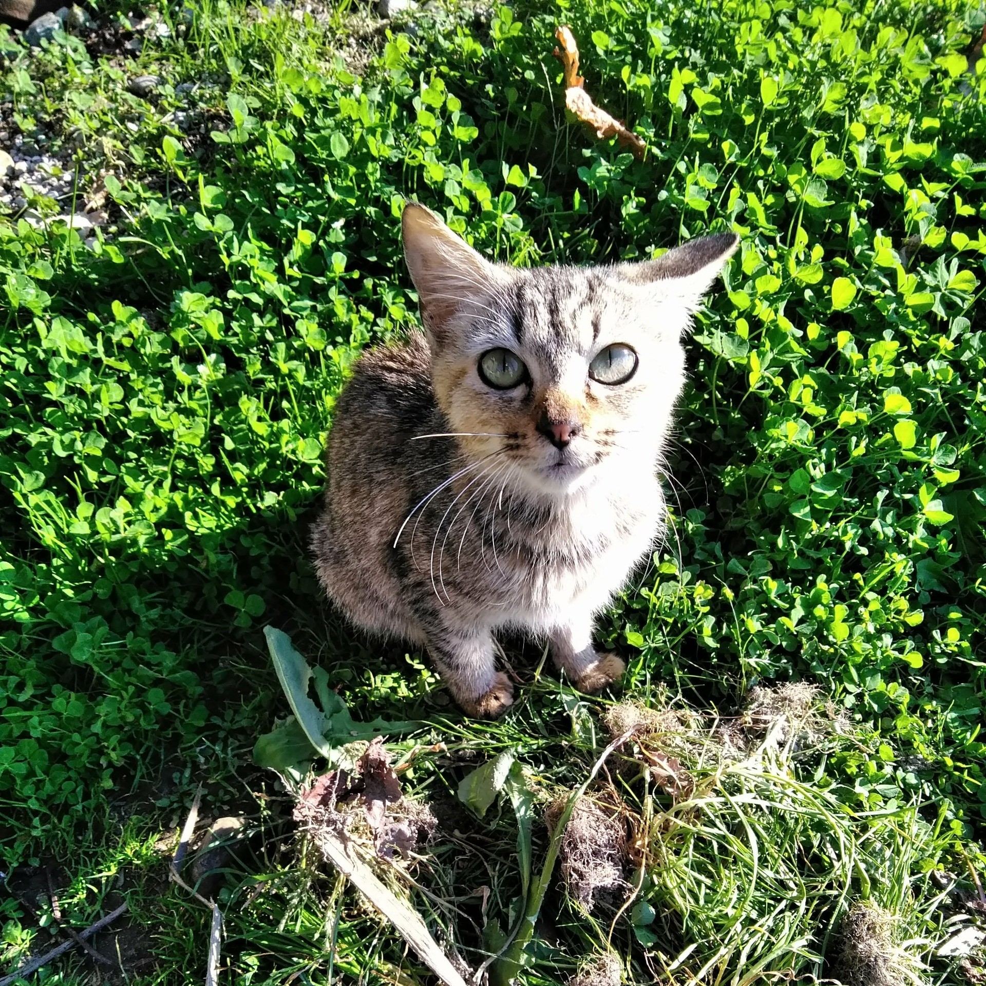 私のはじまり