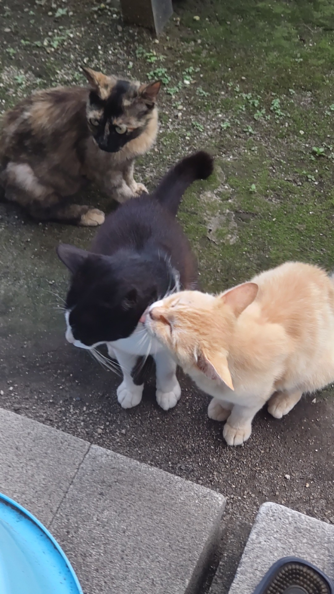 いつも一緒に