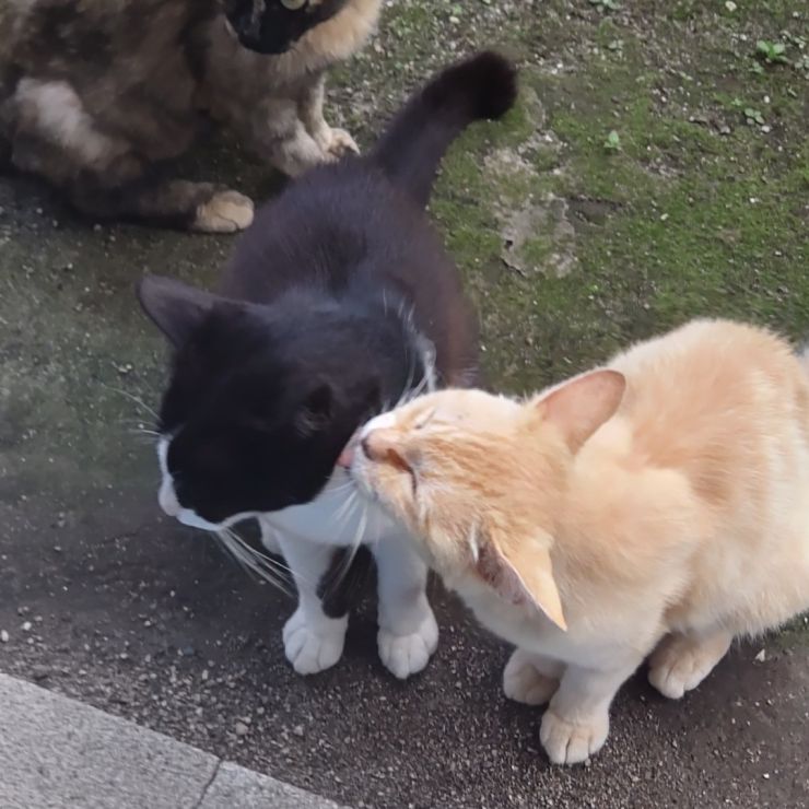 いつも一緒に