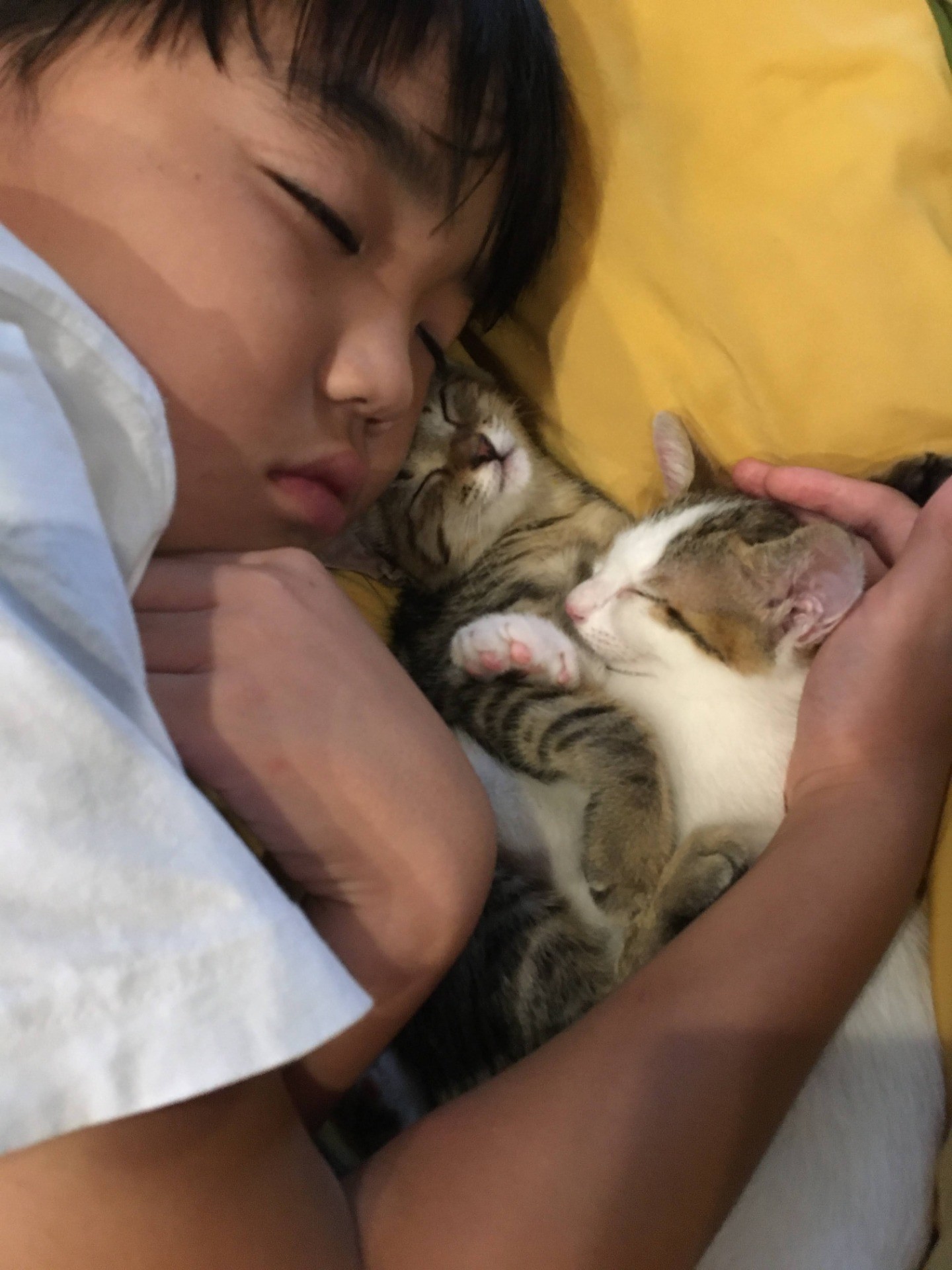 はじめての兄妹