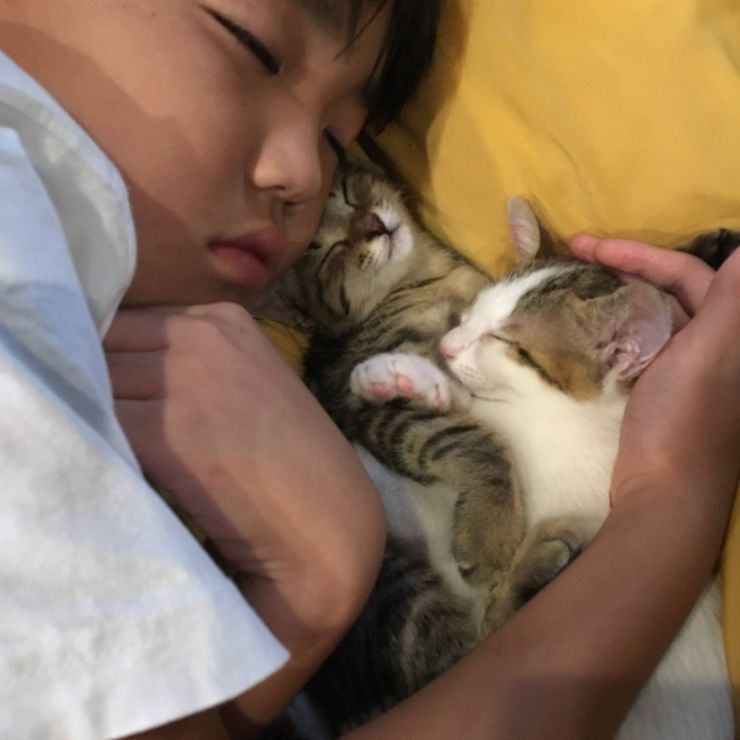 はじめての兄妹