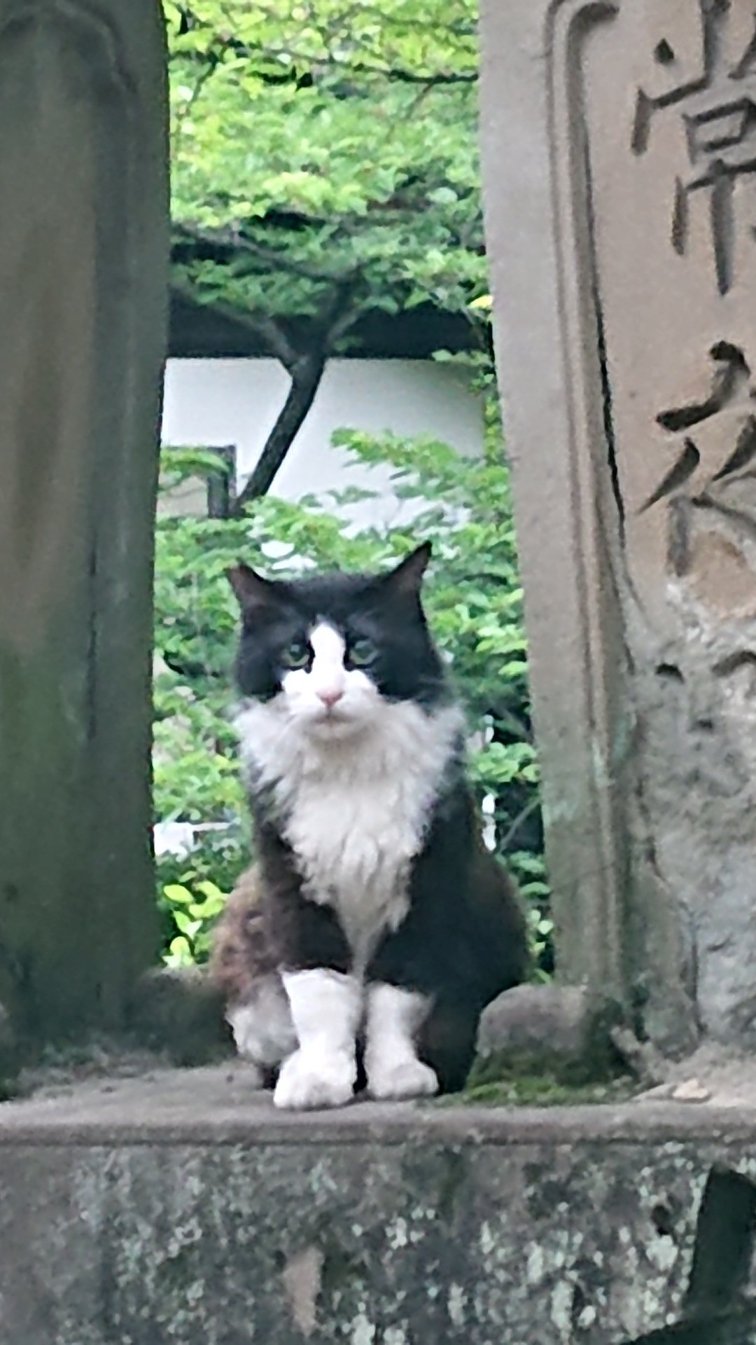 住吉大社の主