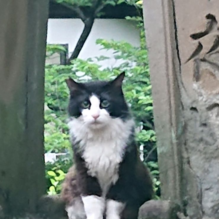 住吉大社の主