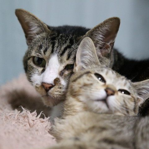 大丈夫！きっと良くなる！