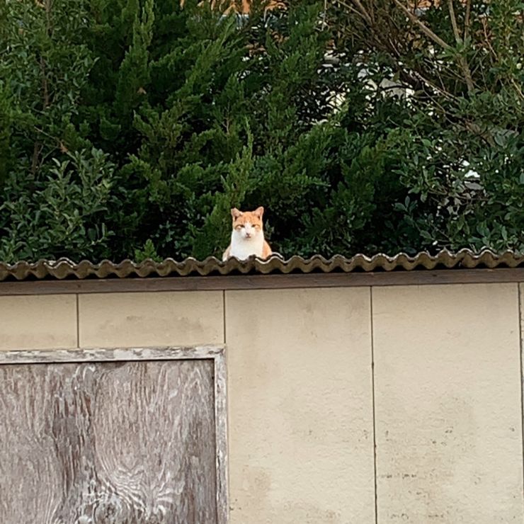 元気？