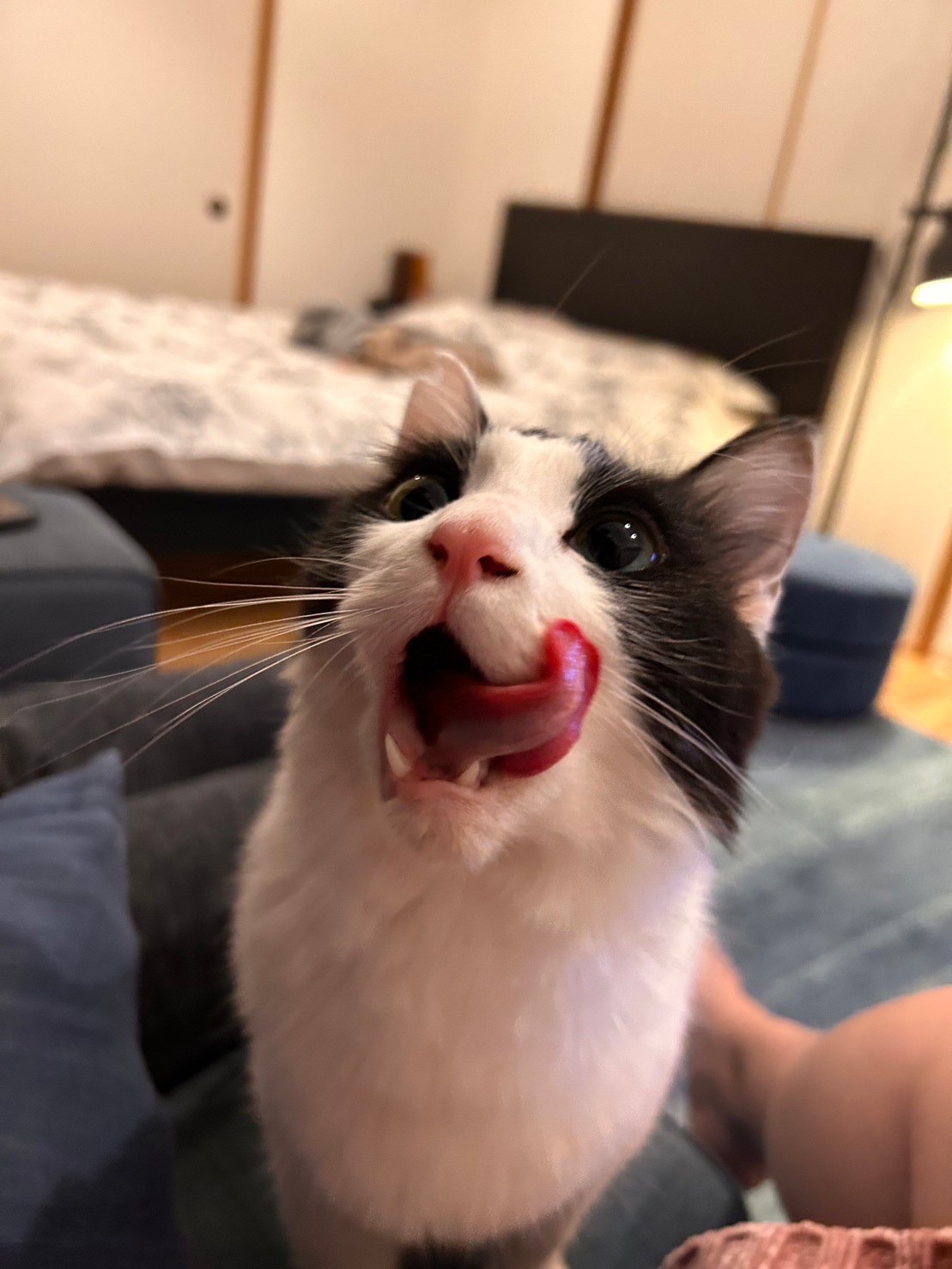 満足満足。