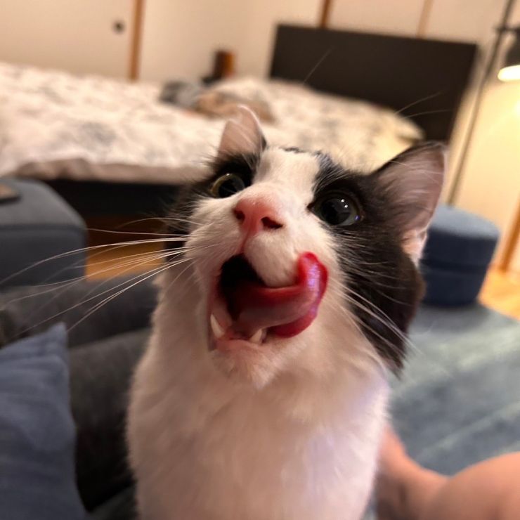 満足満足。