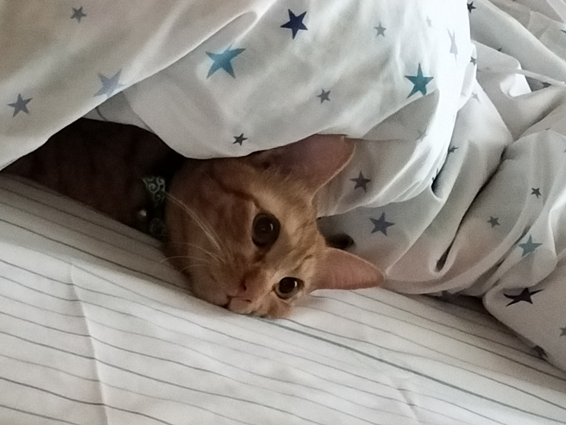 ねむいの