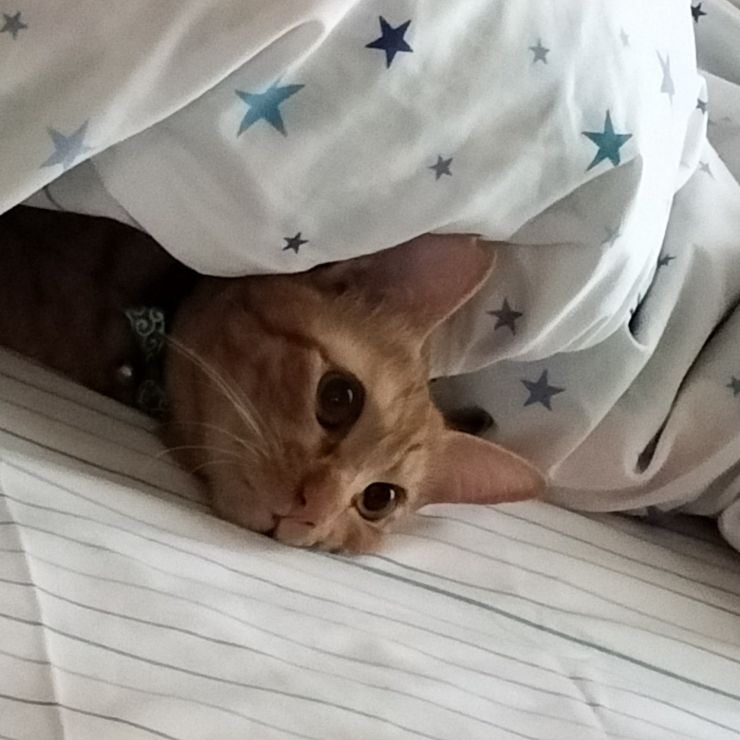 ねむいの
