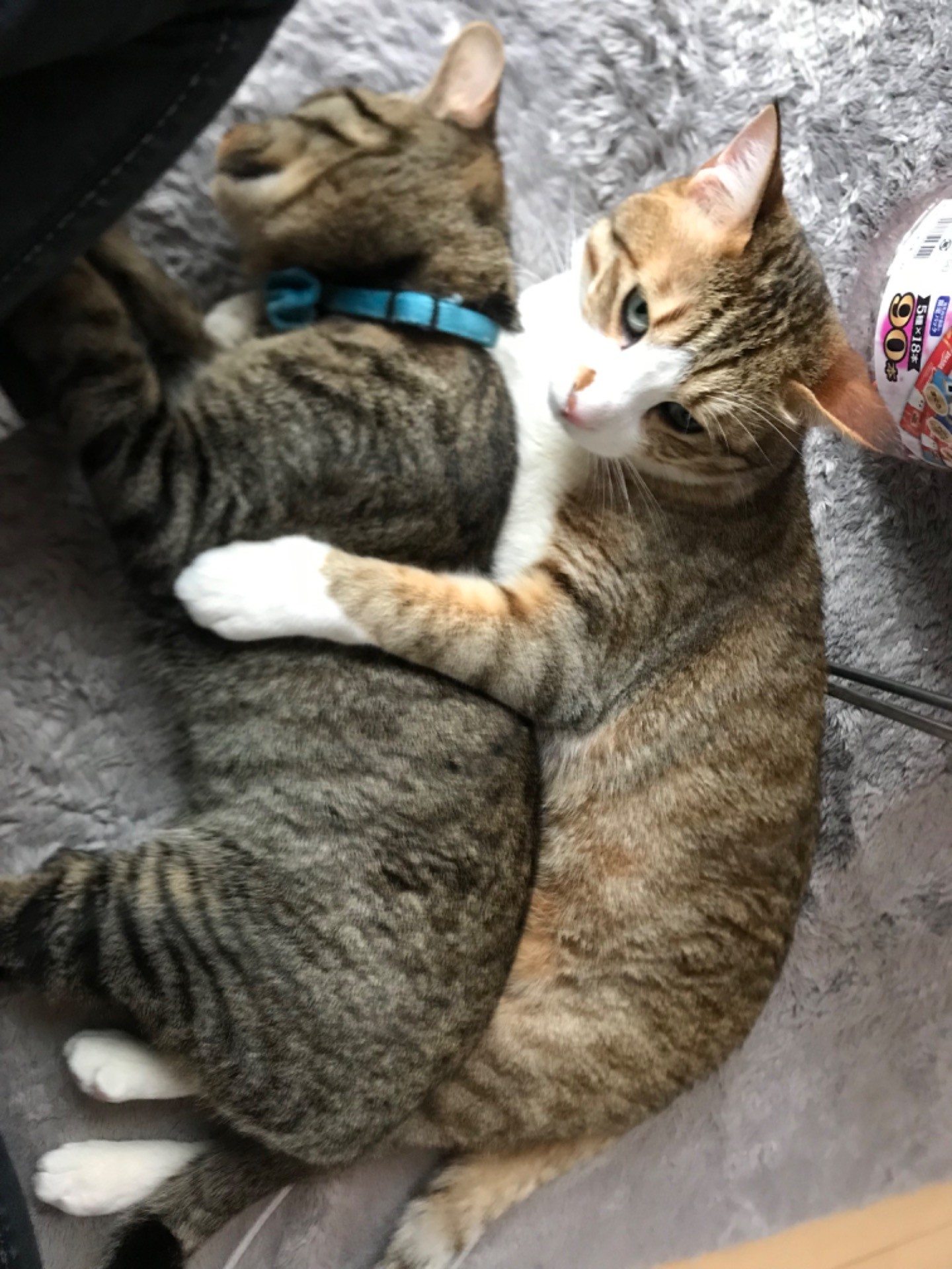 ねんねころり