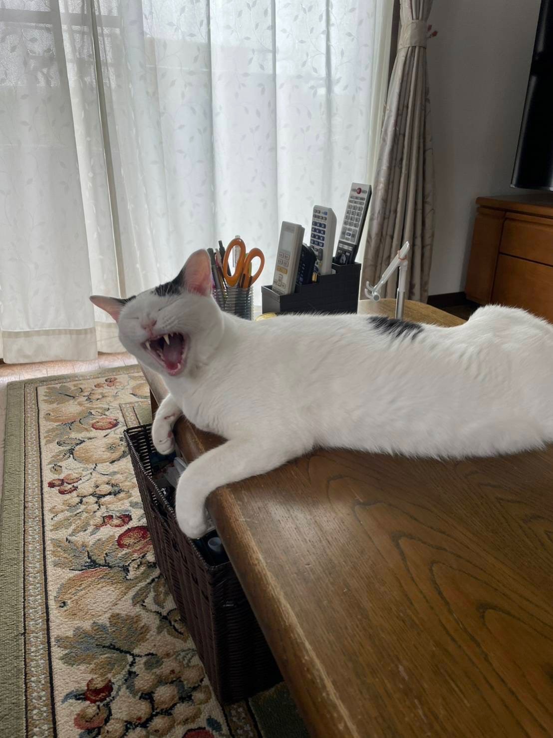 コメ