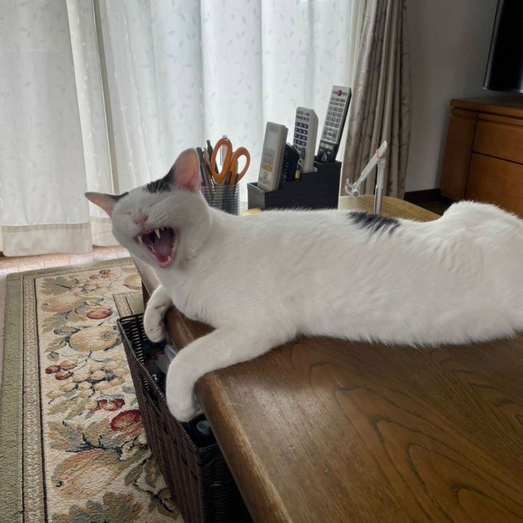 コメ