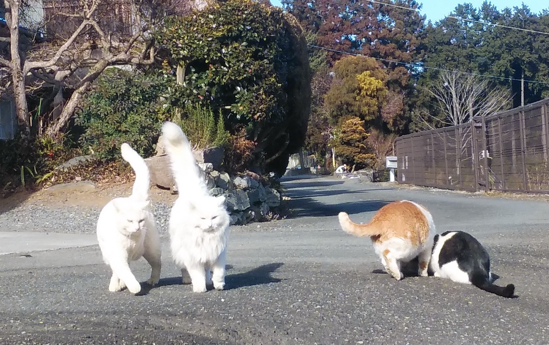 お帰りなさーい。おなかすいたよー