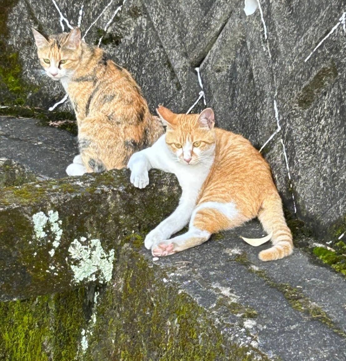 いつもここで待ってるぜ！