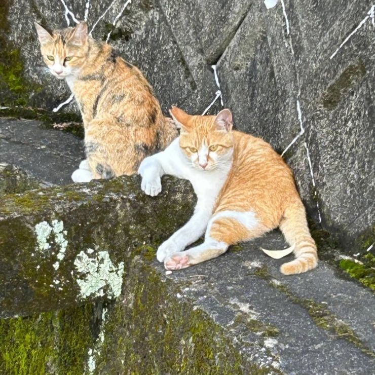 いつもここで待ってるぜ！