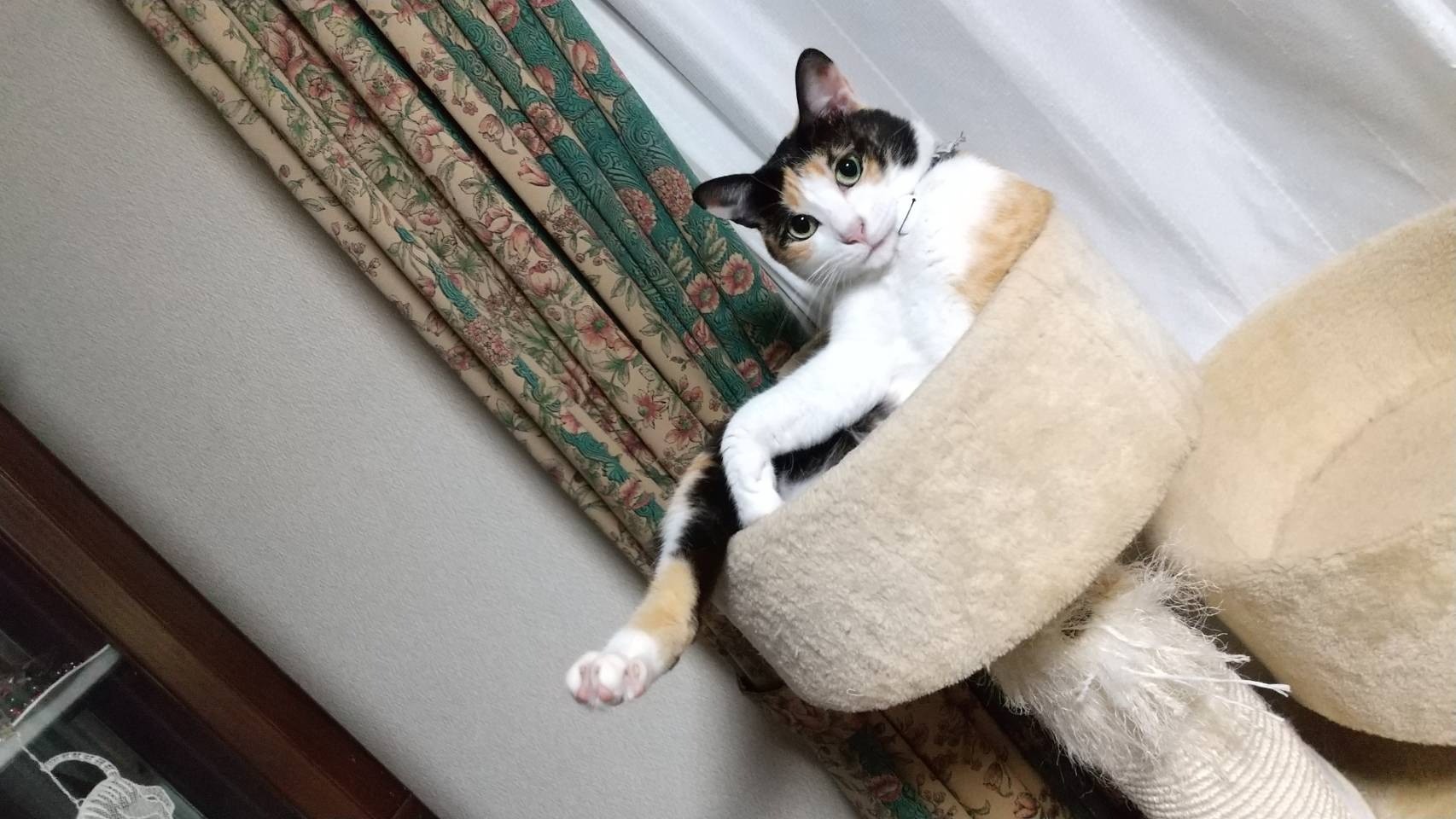 余裕の微笑み