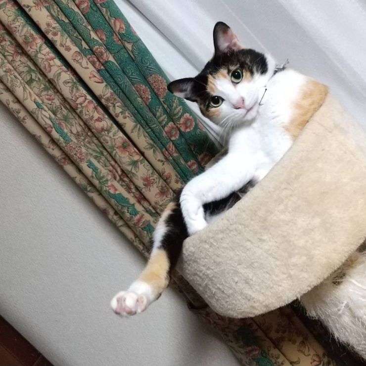 余裕の微笑み
