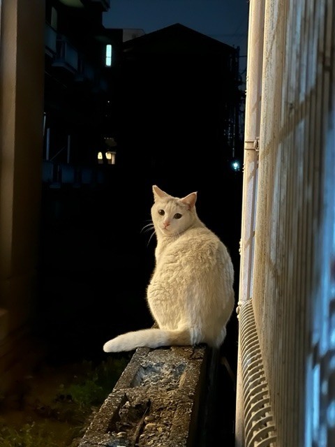 ぼくも入りたいな‥